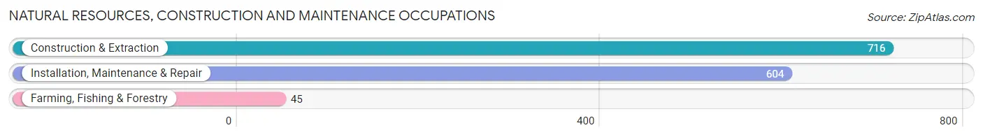 Natural Resources, Construction and Maintenance Occupations in Zip Code 54303