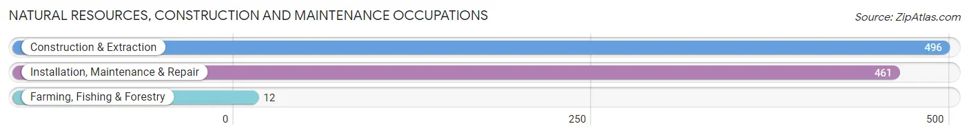 Natural Resources, Construction and Maintenance Occupations in Zip Code 54311