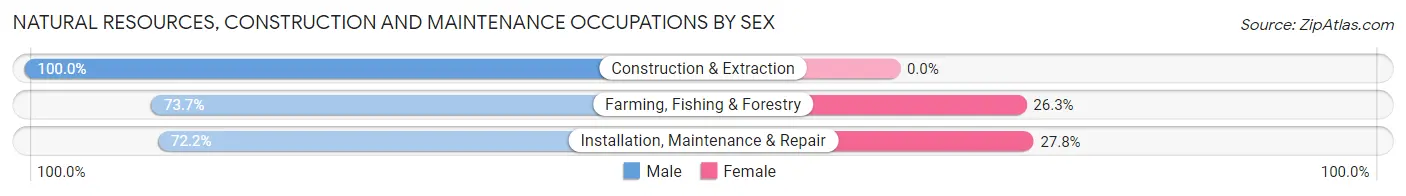 Natural Resources, Construction and Maintenance Occupations by Sex in Zip Code 54407