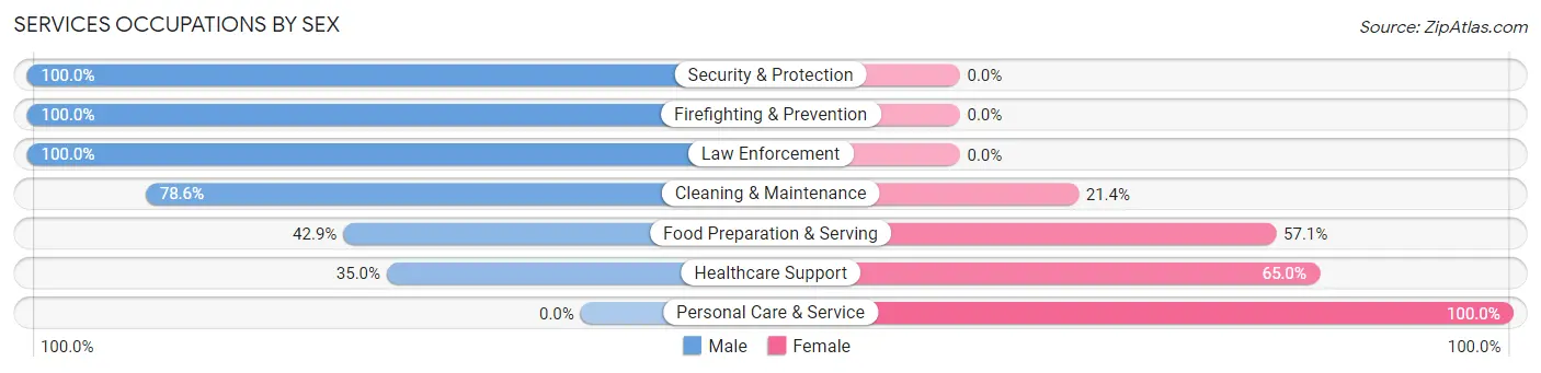 Services Occupations by Sex in Zip Code 54408