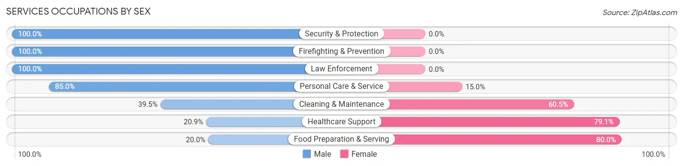 Services Occupations by Sex in Zip Code 54446