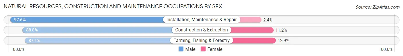 Natural Resources, Construction and Maintenance Occupations by Sex in Zip Code 54456