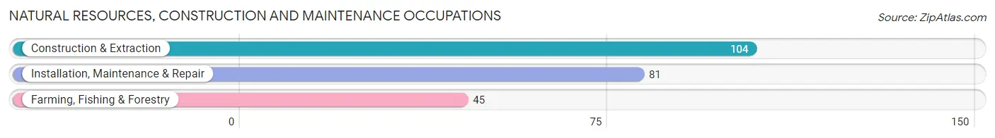 Natural Resources, Construction and Maintenance Occupations in Zip Code 54473