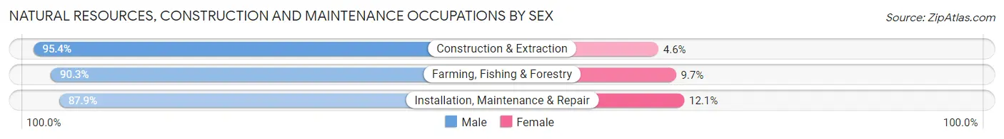 Natural Resources, Construction and Maintenance Occupations by Sex in Zip Code 54476
