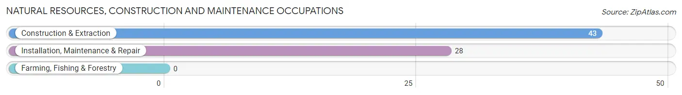 Natural Resources, Construction and Maintenance Occupations in Zip Code 54539