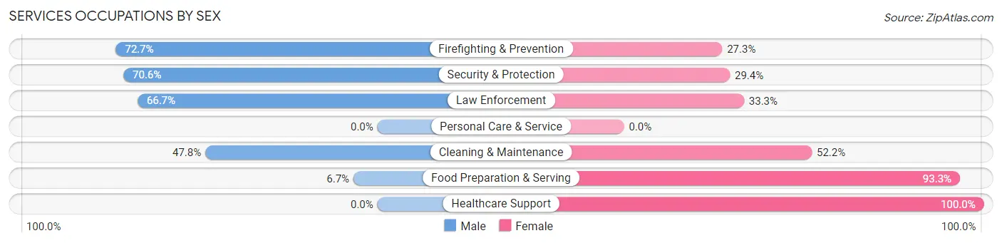Services Occupations by Sex in Zip Code 54541