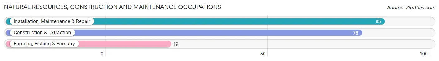 Natural Resources, Construction and Maintenance Occupations in Zip Code 54552