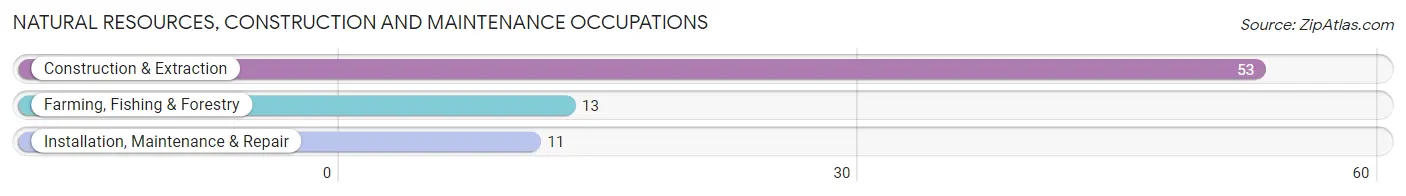 Natural Resources, Construction and Maintenance Occupations in Zip Code 54559