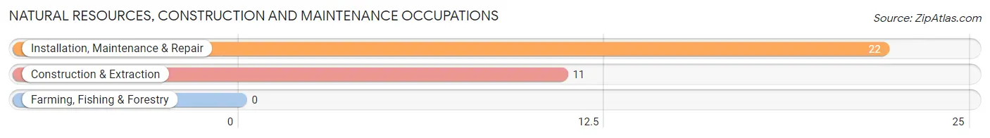 Natural Resources, Construction and Maintenance Occupations in Zip Code 54564