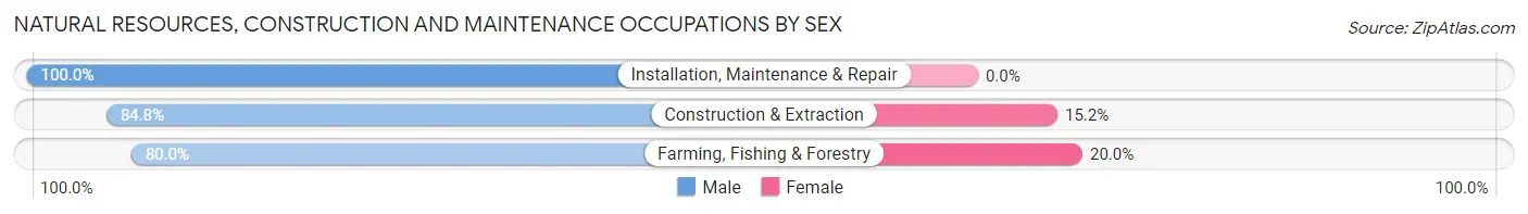 Natural Resources, Construction and Maintenance Occupations by Sex in Zip Code 54566