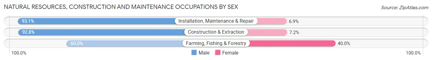 Natural Resources, Construction and Maintenance Occupations by Sex in Zip Code 54601