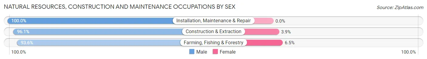 Natural Resources, Construction and Maintenance Occupations by Sex in Zip Code 54613