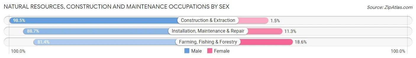 Natural Resources, Construction and Maintenance Occupations by Sex in Zip Code 54615