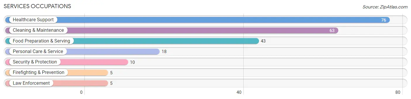 Services Occupations in Zip Code 54629