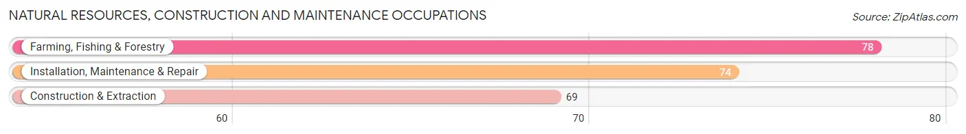 Natural Resources, Construction and Maintenance Occupations in Zip Code 54634