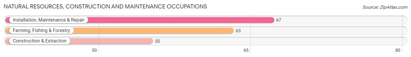 Natural Resources, Construction and Maintenance Occupations in Zip Code 54666