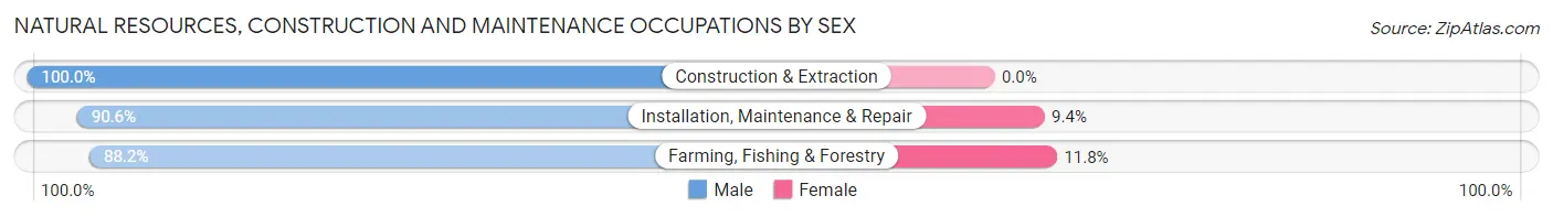 Natural Resources, Construction and Maintenance Occupations by Sex in Zip Code 54732