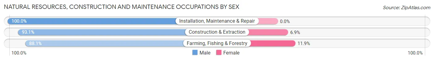 Natural Resources, Construction and Maintenance Occupations by Sex in Zip Code 54736