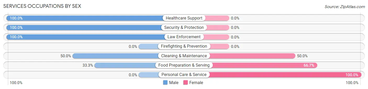 Services Occupations by Sex in Zip Code 54737