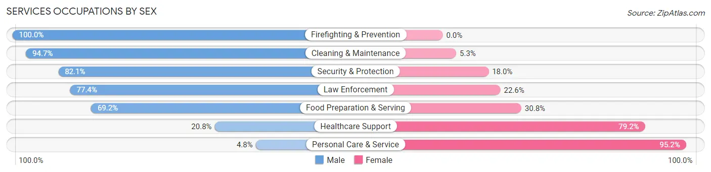 Services Occupations by Sex in Zip Code 54738