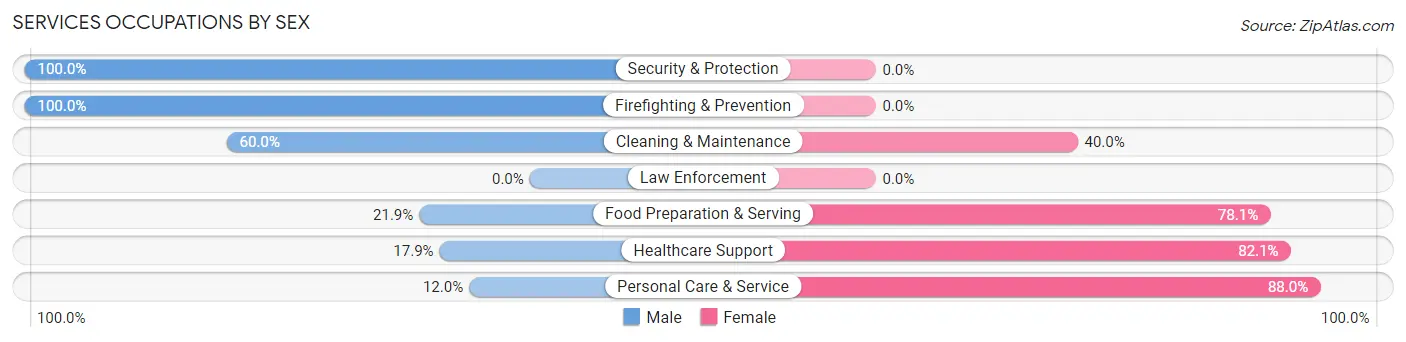 Services Occupations by Sex in Zip Code 54770