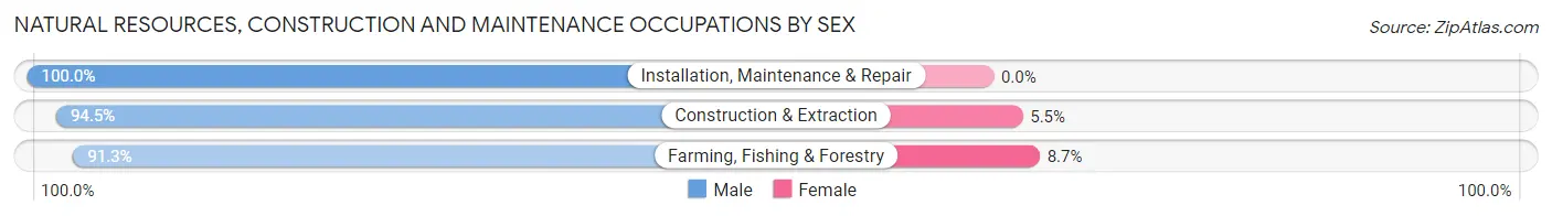 Natural Resources, Construction and Maintenance Occupations by Sex in Zip Code 54801