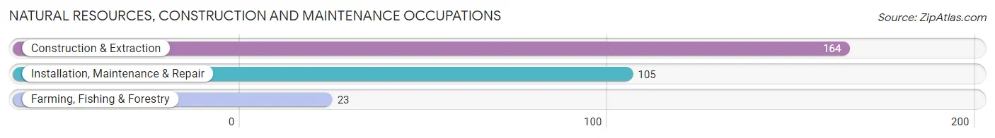 Natural Resources, Construction and Maintenance Occupations in Zip Code 54801