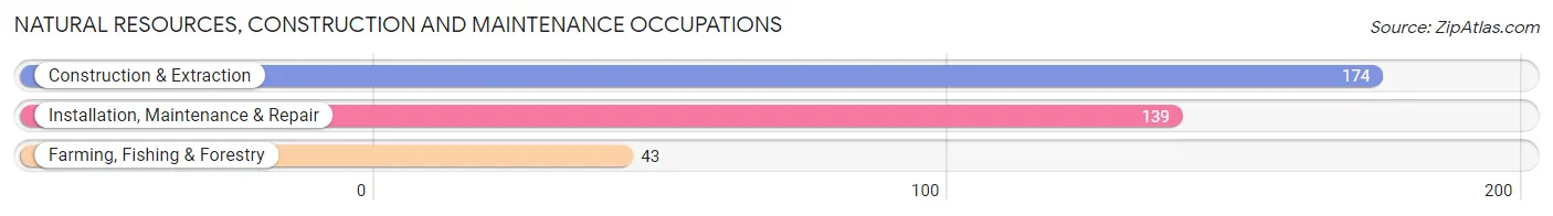 Natural Resources, Construction and Maintenance Occupations in Zip Code 54812