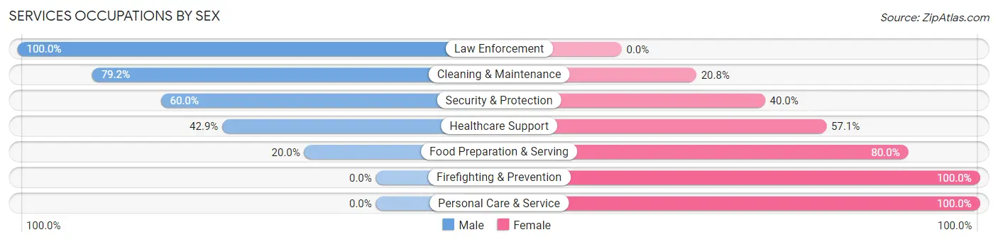 Services Occupations by Sex in Zip Code 54813
