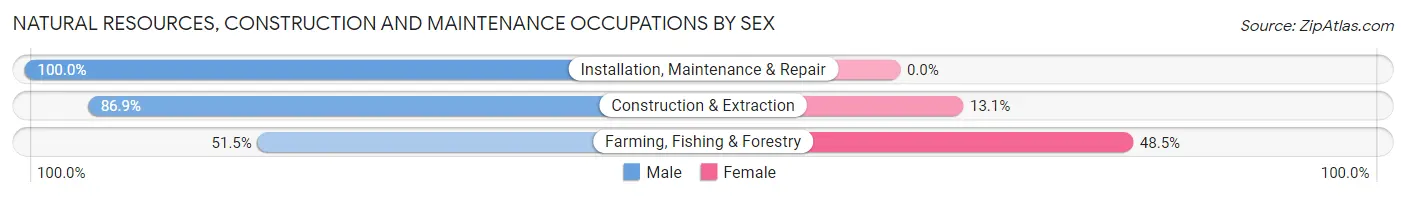 Natural Resources, Construction and Maintenance Occupations by Sex in Zip Code 54824