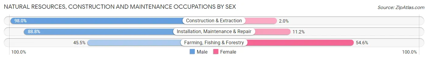 Natural Resources, Construction and Maintenance Occupations by Sex in Zip Code 54840