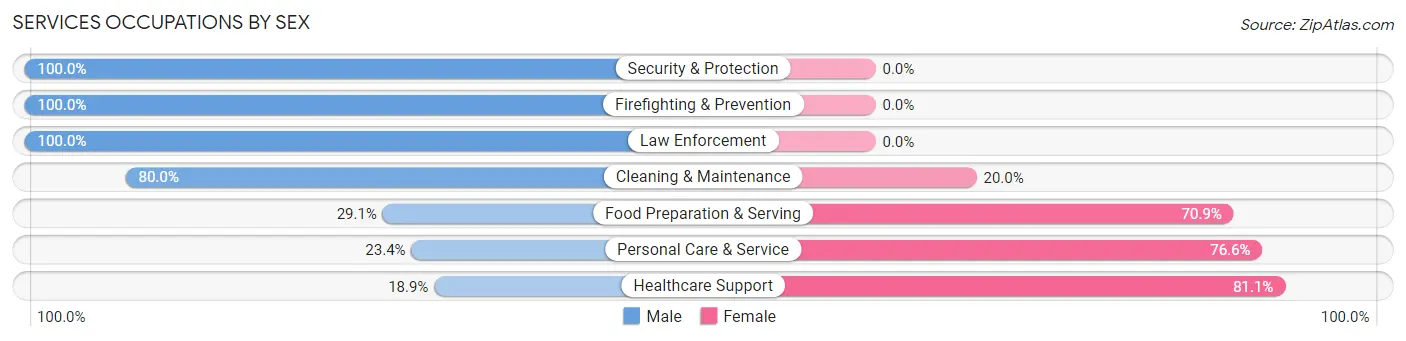 Services Occupations by Sex in Zip Code 54840