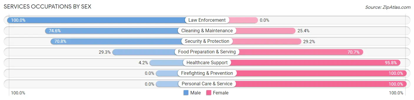 Services Occupations by Sex in Zip Code 54848
