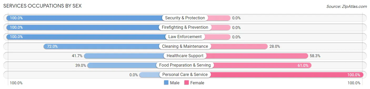 Services Occupations by Sex in Zip Code 54849