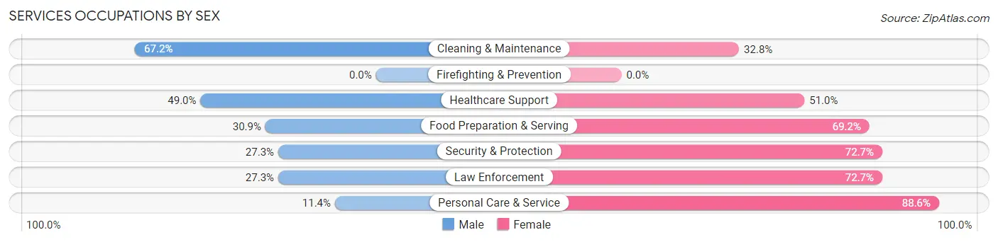 Services Occupations by Sex in Zip Code 54853
