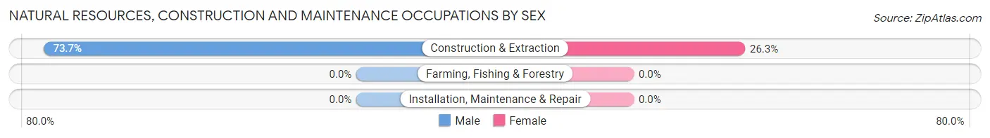 Natural Resources, Construction and Maintenance Occupations by Sex in Zip Code 54861