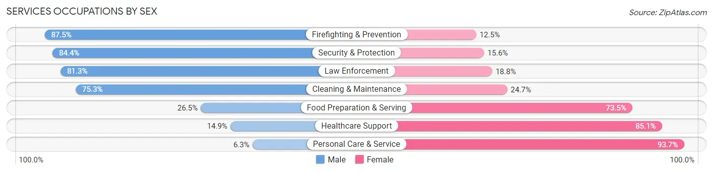 Services Occupations by Sex in Zip Code 54868