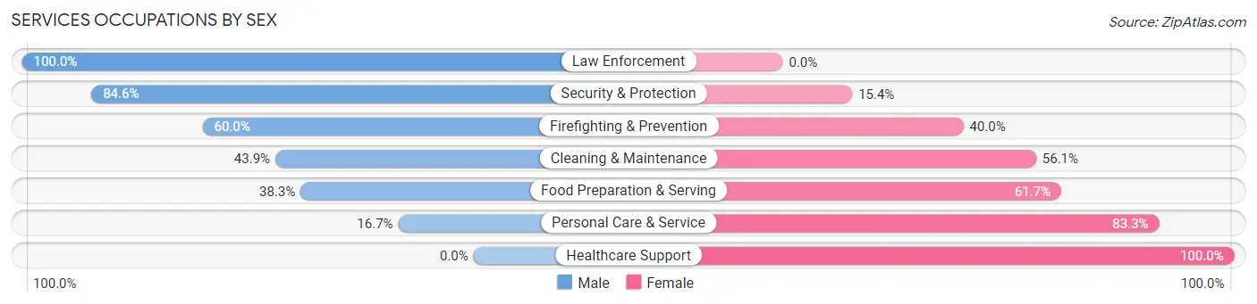 Services Occupations by Sex in Zip Code 54870