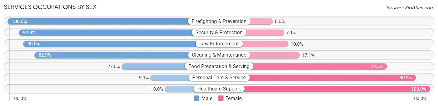 Services Occupations by Sex in Zip Code 54873