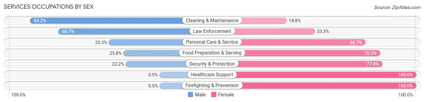Services Occupations by Sex in Zip Code 54875