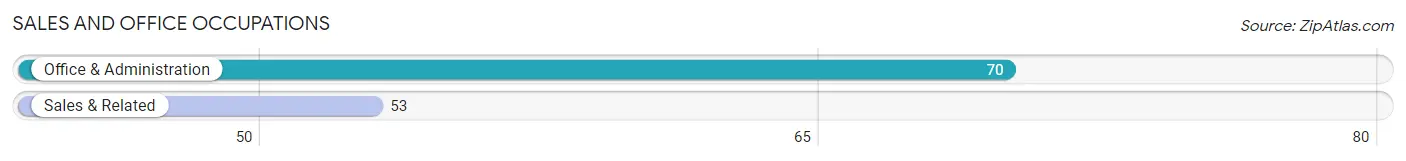 Sales and Office Occupations in Zip Code 54888