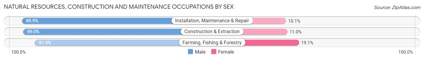 Natural Resources, Construction and Maintenance Occupations by Sex in Zip Code 54901