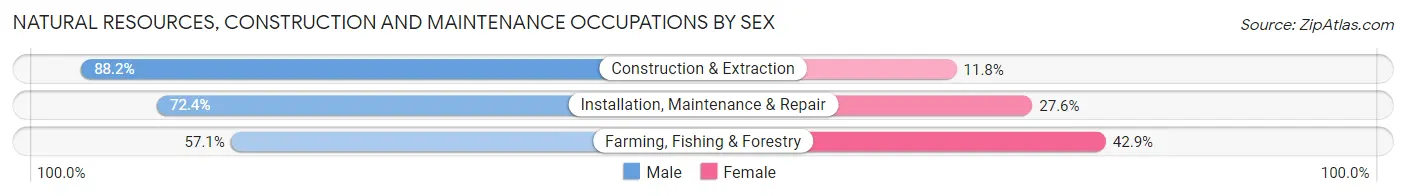 Natural Resources, Construction and Maintenance Occupations by Sex in Zip Code 54902
