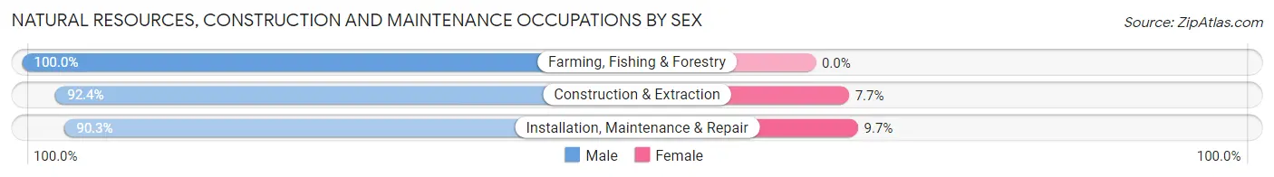 Natural Resources, Construction and Maintenance Occupations by Sex in Zip Code 54911