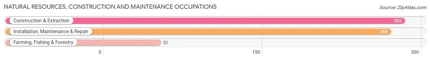 Natural Resources, Construction and Maintenance Occupations in Zip Code 54923