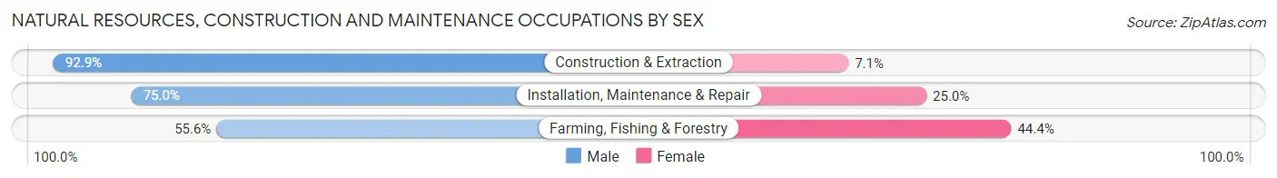 Natural Resources, Construction and Maintenance Occupations by Sex in Zip Code 54930