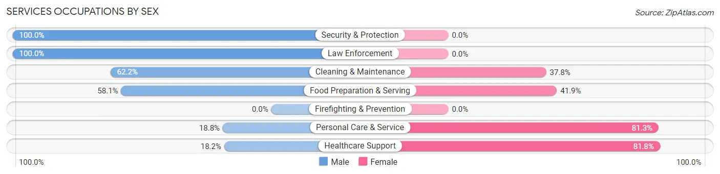 Services Occupations by Sex in Zip Code 54941