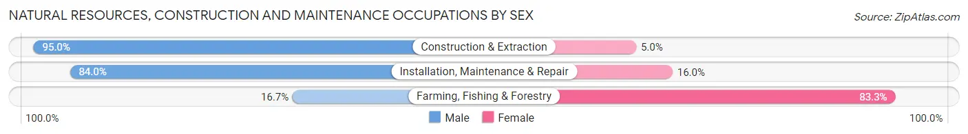 Natural Resources, Construction and Maintenance Occupations by Sex in Zip Code 54947