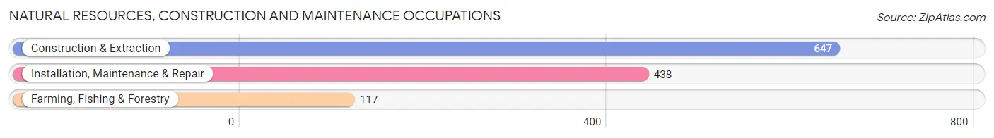 Natural Resources, Construction and Maintenance Occupations in Zip Code 54952