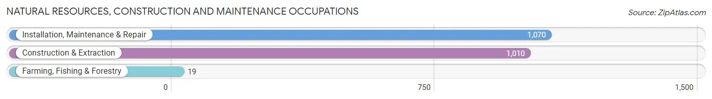 Natural Resources, Construction and Maintenance Occupations in Zip Code 54956